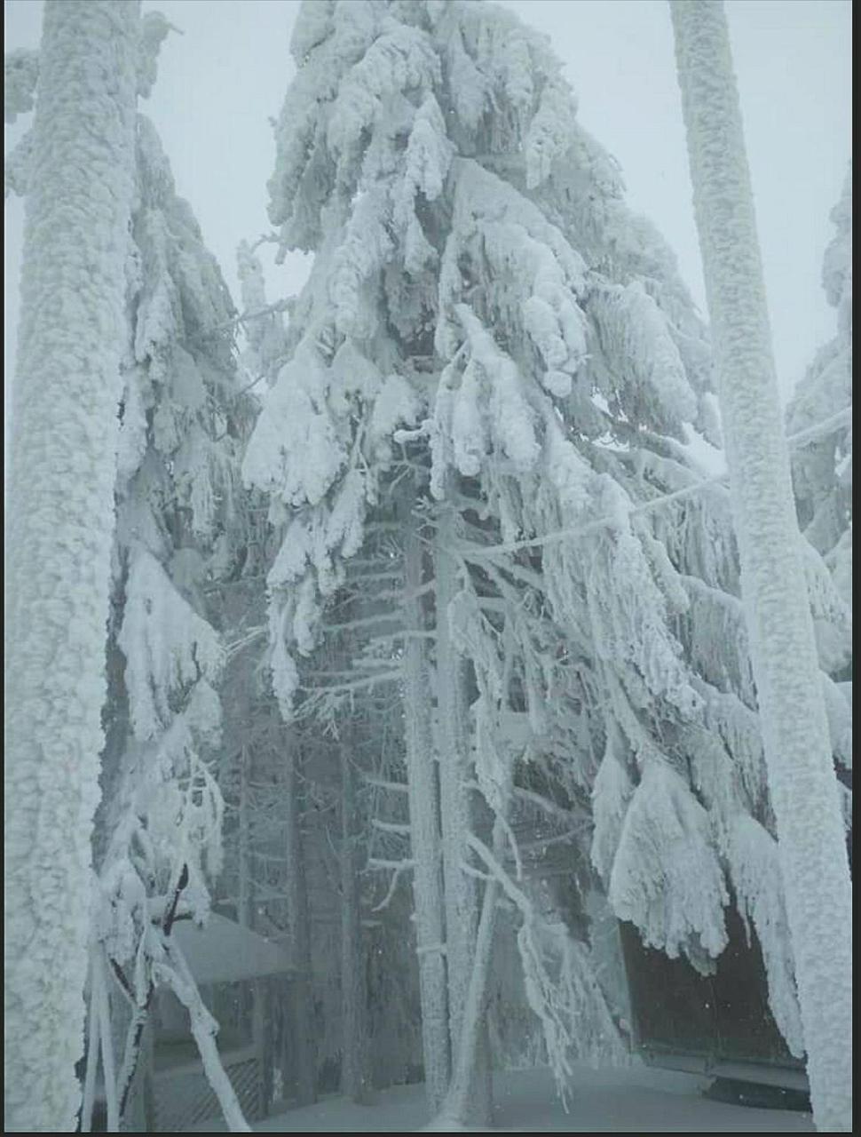 "Різьбярська Садиба" Slavske Exteriér fotografie
